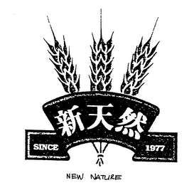 NEW NATURE logo