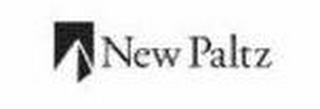NEW PALTZ logo