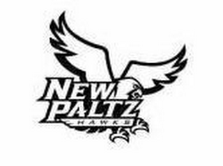 NEW PALTZ HAWKS logo