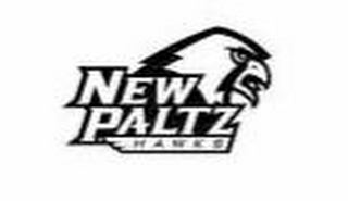 NEW PALTZ HAWKS logo