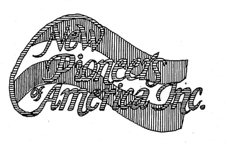 NEW PIONEERS OF AMERICA INC. logo