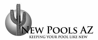 NEW POOLS AZ KEEPING YOUR POOL LIKE NEW logo
