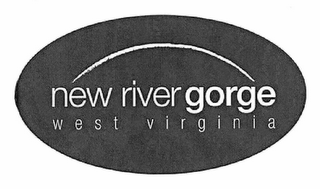 NEW RIVER GORGE WEST VIRGINIA logo