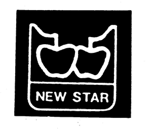 NEW STAR logo