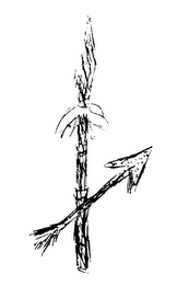 NEW WORLD TRIBE logo