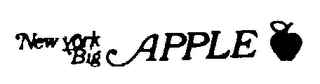 NEW YORK BIG APPLE logo