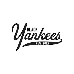 NEW YORK BLACK YANKEES logo