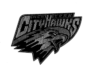 NEW YORK CITYHAWKS logo