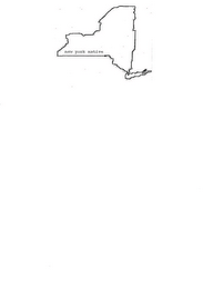 NEW YORK NATIVE logo