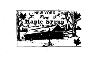 NEW YORK PURE MAPLE SYRUP logo