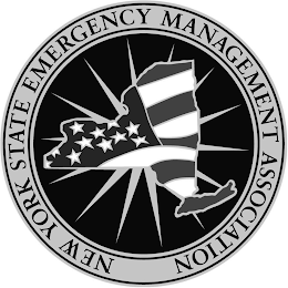 NEW YORK STATE EMERGENCY MANAGEMENT ASSOCIATION logo