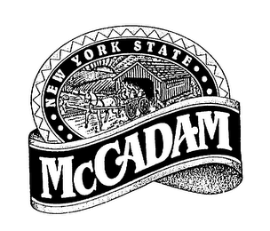 NEW YORK STATE MCCADAM logo