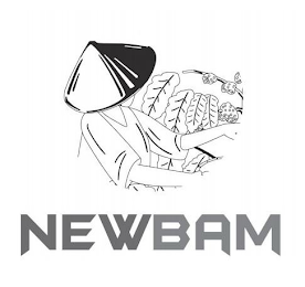 NEWBAM logo