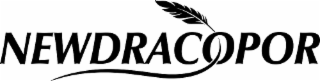 NEWDRACOPOR logo