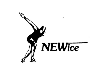 NEWICE logo