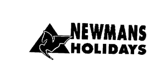 NEWMANS HOLIDAYS logo