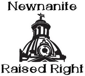 NEWNANITE RAISED RIGHT logo