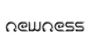 NEWNESS logo