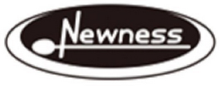 NEWNESS logo