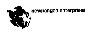 NEWPANGEA ENTERPRISES