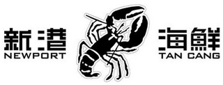 NEWPORT TAN CANG logo