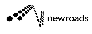 NEWROADS logo