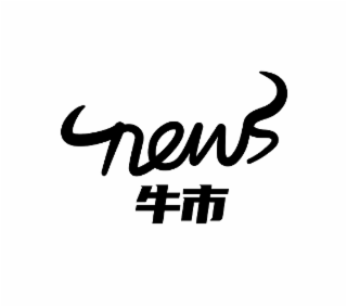 NEWS logo