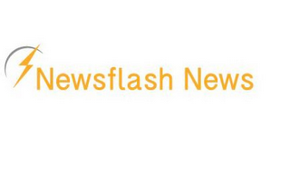 NEWSFLASH NEWS logo