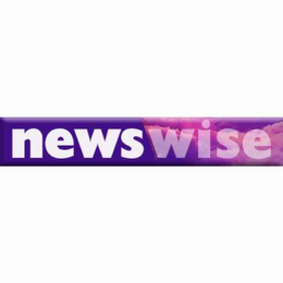 NEWSWISE logo
