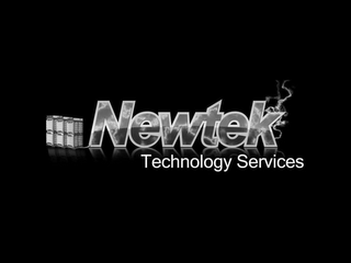 NEWTEK TECHNOLOGY SERVICES logo
