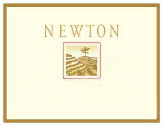 NEWTON logo