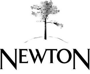 NEWTON logo
