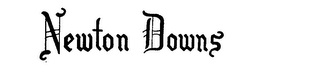 NEWTON DOWNS logo