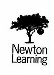 NEWTON LEARNING logo