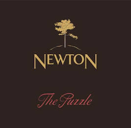 NEWTON THE PUZZLE logo