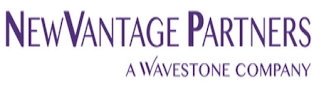 NEWVANTAGE PARTNERS A WAVESTONE COMPANY logo