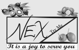 NEX Z TRY ME IT IS A JOY TO SERVE YOU logo