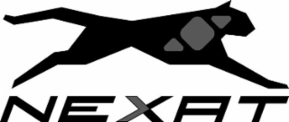 NEXAT logo