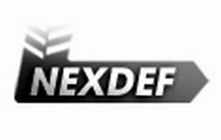 NEXDEF logo