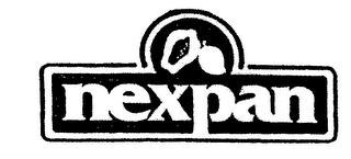 NEXPAN logo