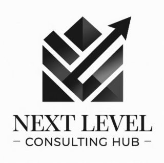 NEXT LEVEL CONSULTING HUB logo