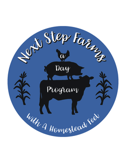 NEXT STEP FARMS A DAY PROGRAM WITH A HOMESTEAD FEEL logo