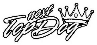NEXT TOP DOG logo