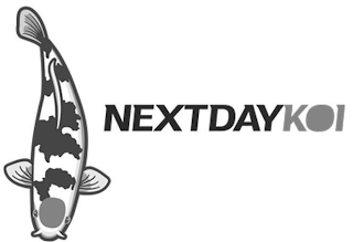 NEXTDAYKOI logo