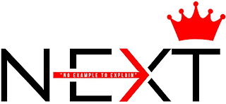 NEXTEX- "NO EXAMPLE TO EXPLAIN" logo