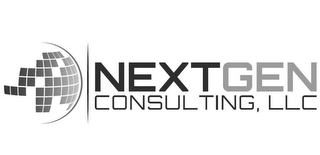 NEXTGEN CONSULTING, LLC logo