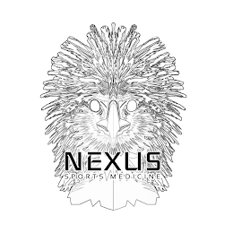 NEXUS SPORTS MEDICINE logo