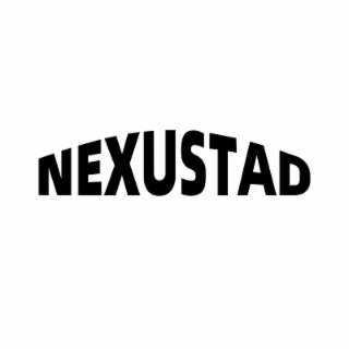 NEXUSTAD logo