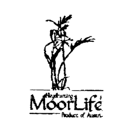 NEYHARTING MOORLIFE BODY MILK MOISTURIZING LOTION FOR ALL SKIN TYPES logo