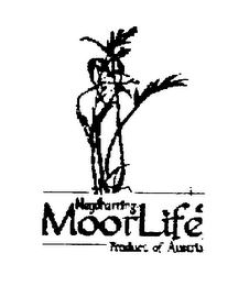 NEYHARTING MOORLIFE MOOR-MASKE logo